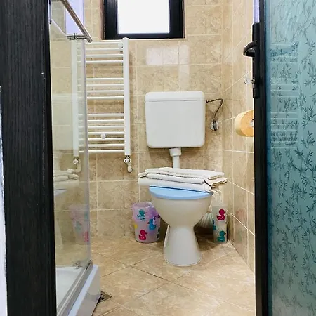 Privat bolig Vila Dana Două Mai